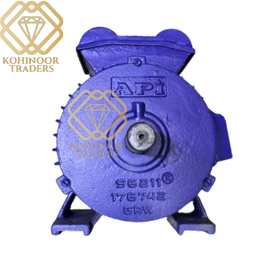 API Motor 2 HP Full Heavy Duty Motor – Kohinoor Traders